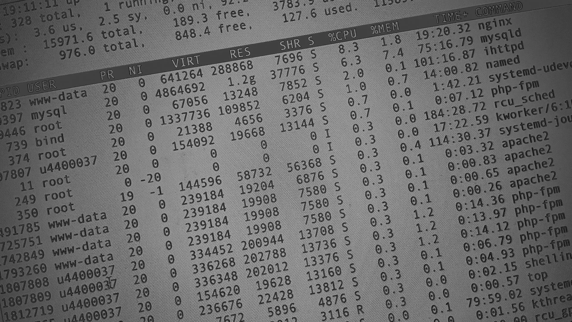 Настройка сервера в Охе