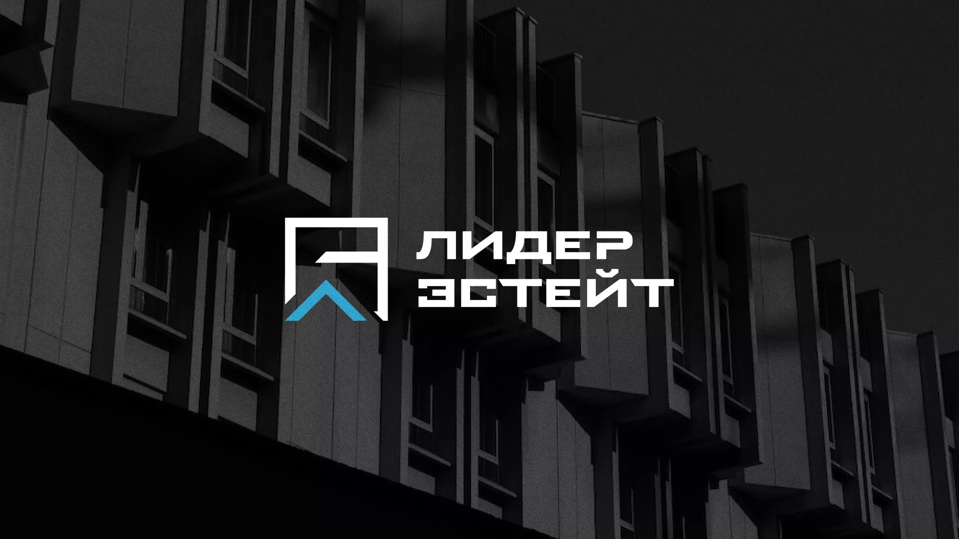 Разработка логотипа агентства недвижимости «Лидер Эстейт» в Охе